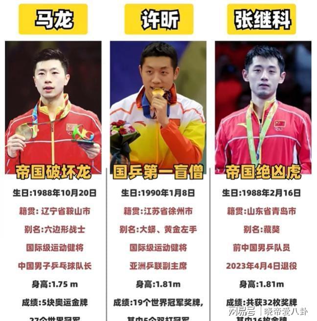 关于德国乒乓球队绝地反击比利时乒乓球队，张继科爆发神勇的信息
