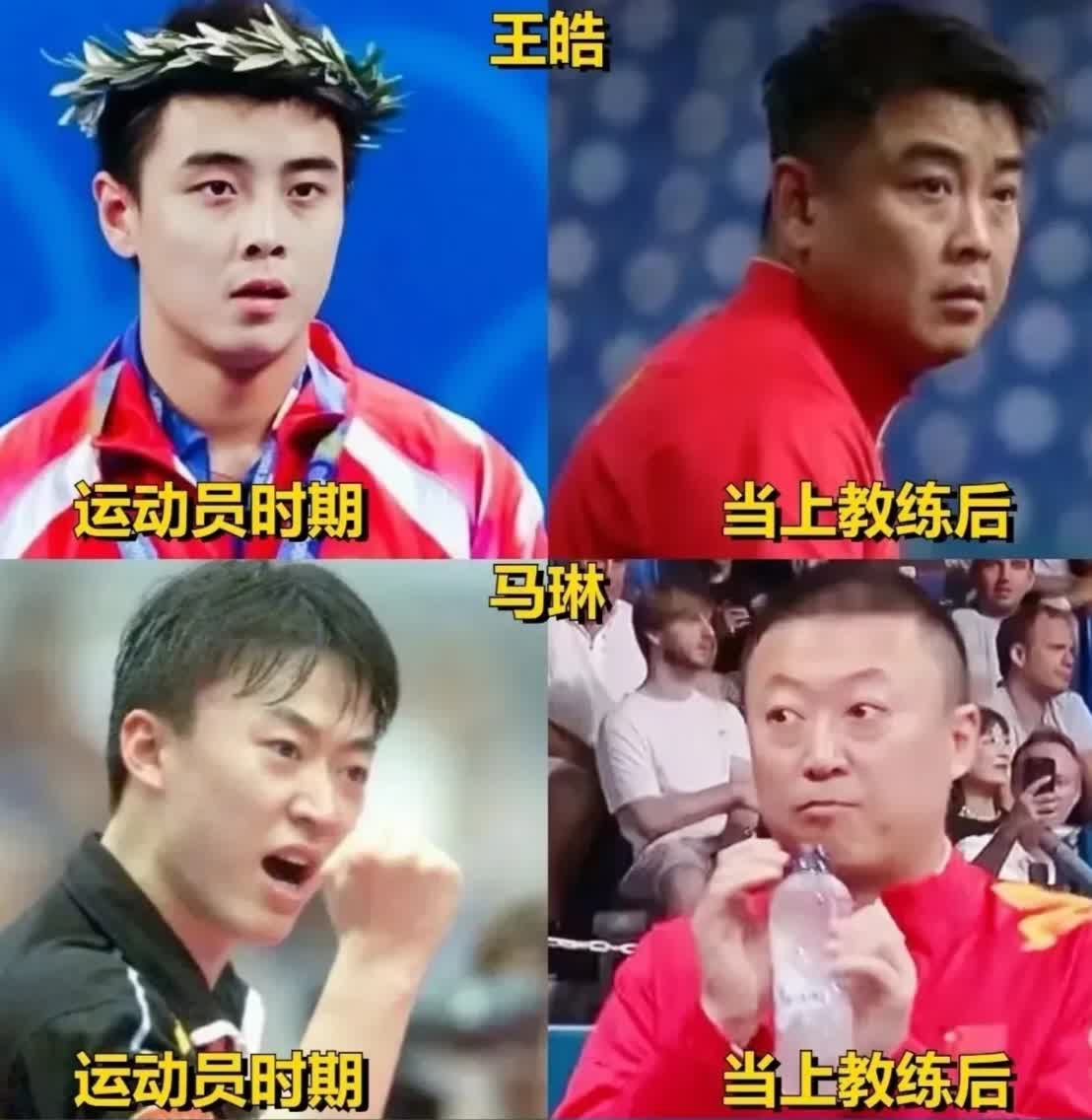 包含波兰乒乓球队翻盘中国乒乓球队，王皓爆发神勇的词条
