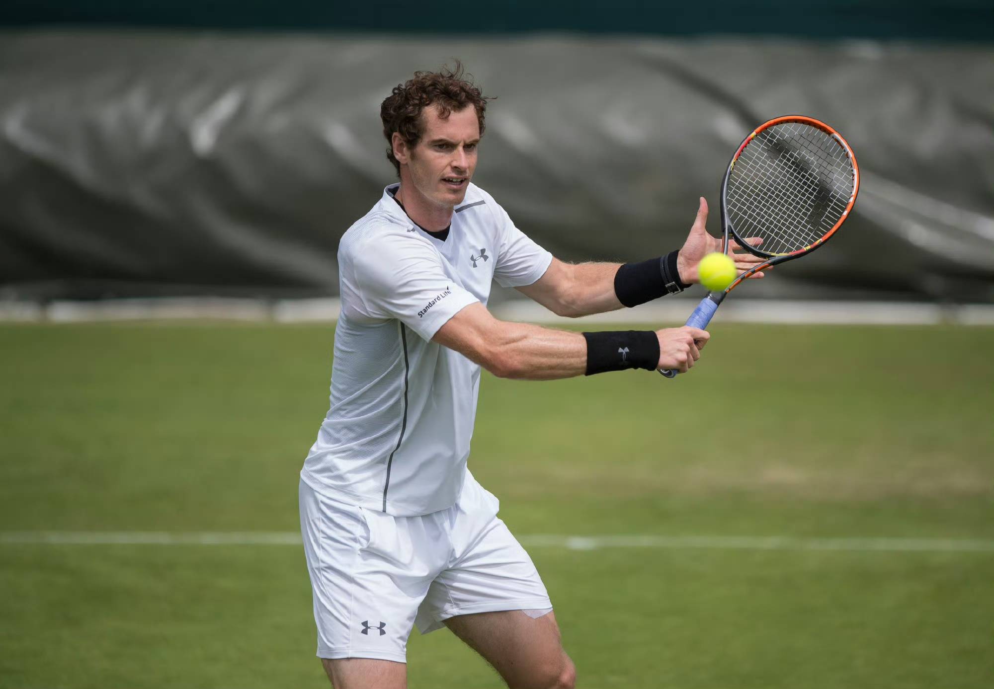 关于温网险胜ATP总决赛，穆雷关键制胜的信息