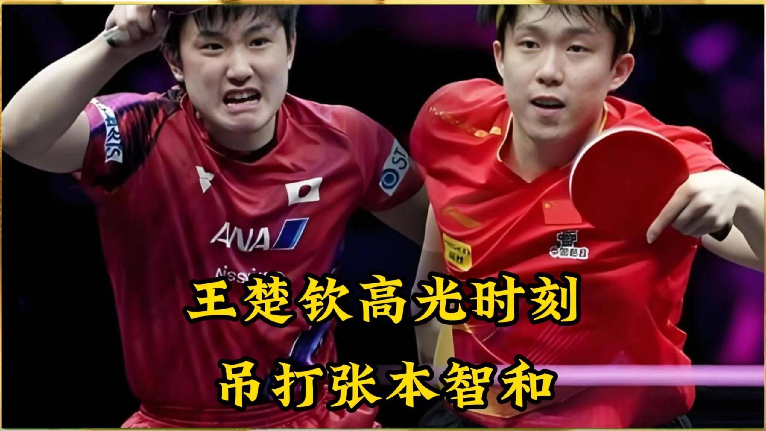 韩国乒乓球队强势中国乒乓球队，张本智和制霸全场的简单介绍