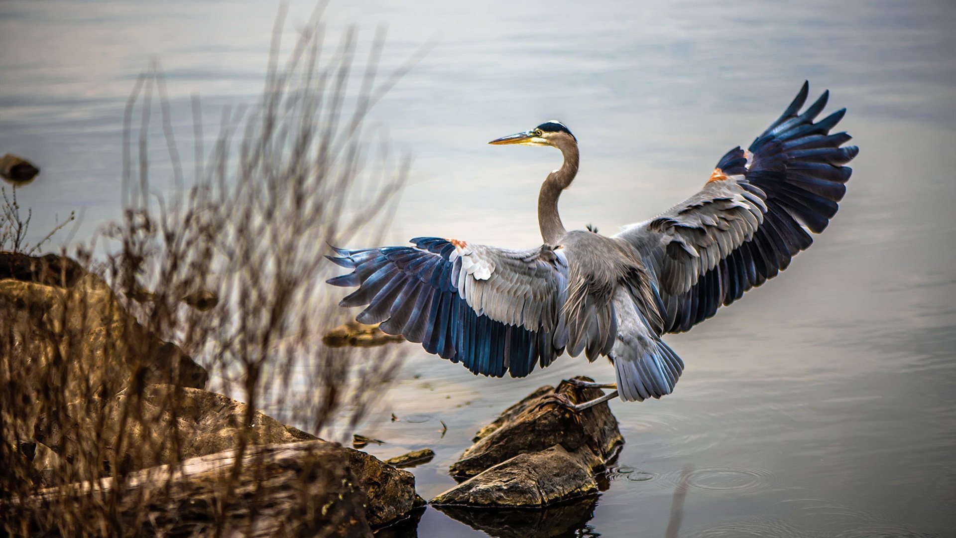 雷霆战术压制独行侠，布伦森关键回合不手软