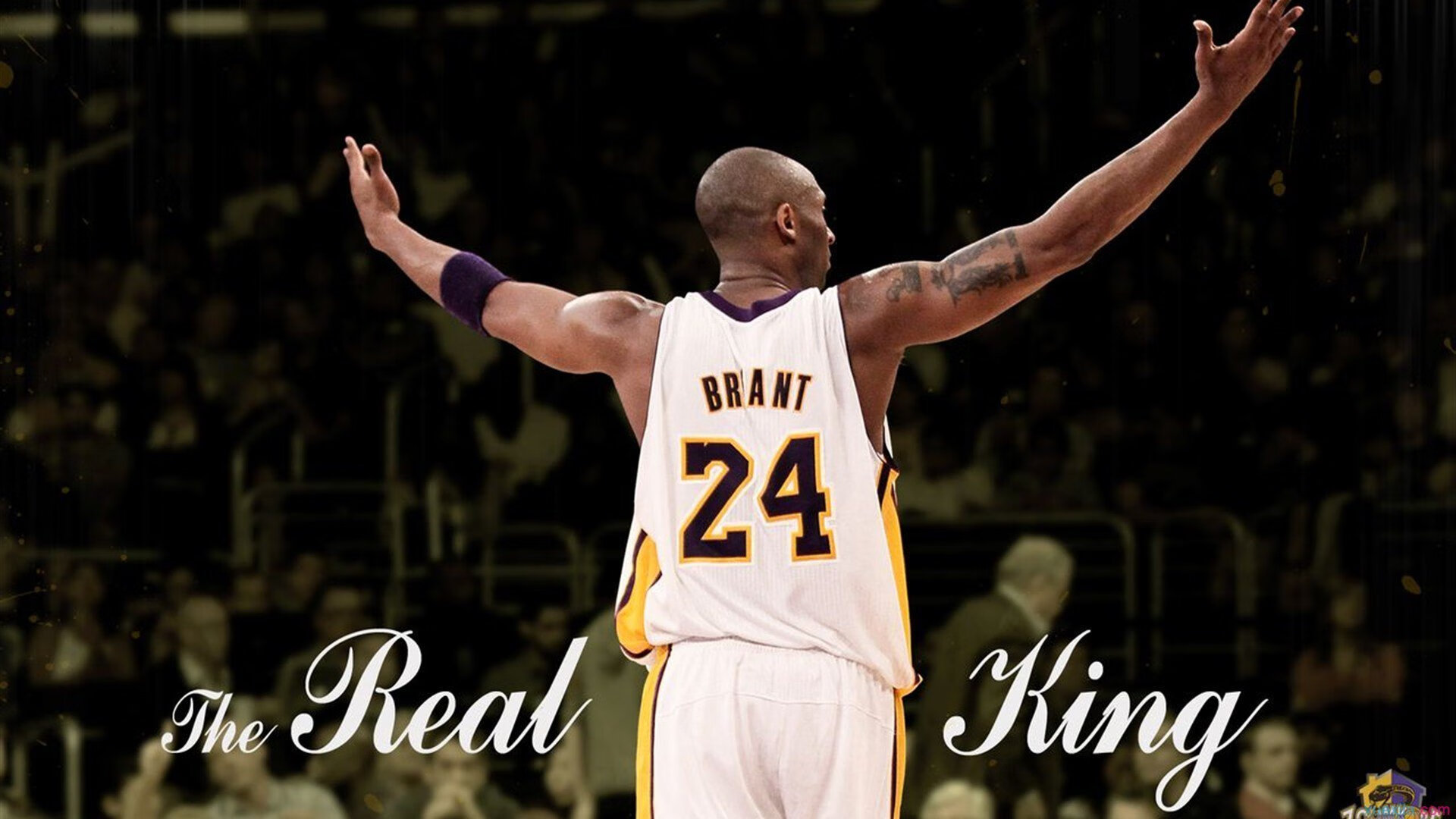 天山雄鹰展翅达拉斯，新疆队战术碾压独行侠，浓眉攻防一体惊艳四座